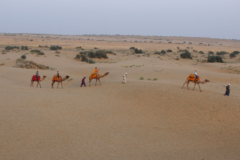 thar desert Camel Safari
