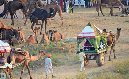 Pushkar-Fair