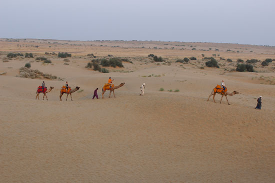 Desert safari