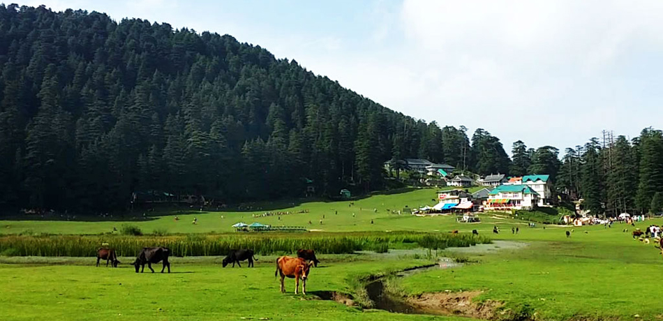 Dharamshala Hill Station