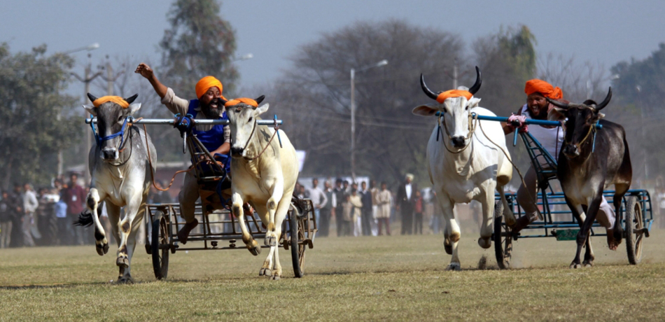 Kila Raipur Rural Olympics