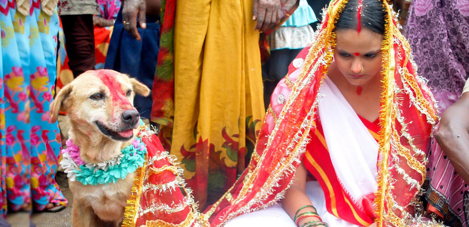 Marrying Animals for Exorcism