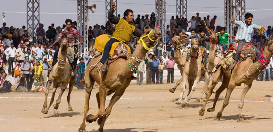 Pushkar Fair