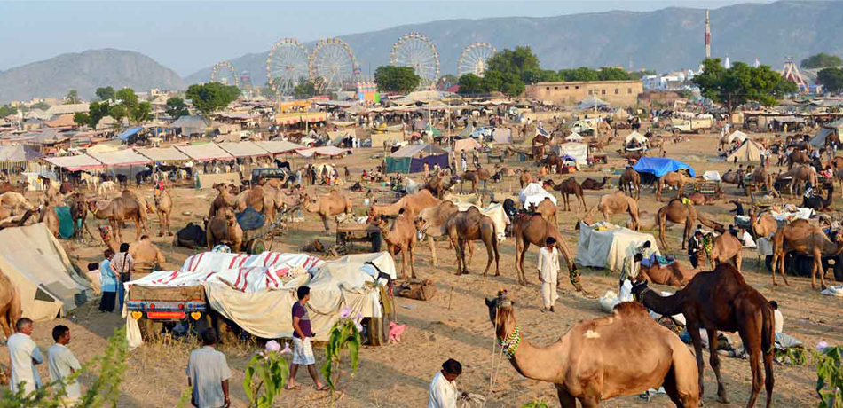 Pushkar, Rajasthan - Travel Photography Tour