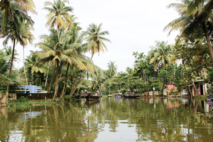 Kerala Tour - God’s own country awaits