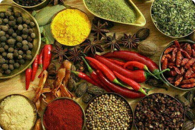 Land of Spices