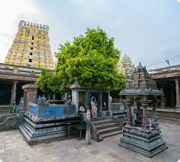 Ekambareswarar Temple, Kanchipuram