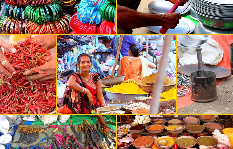 Festival And Tribal Tour of Gujarat 2026