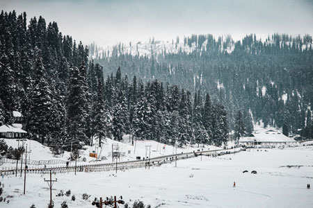 Best Tourist Places to Visit in Kashmir in Winter