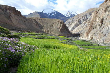 Trekking in Ladakh: 11 Best Treks in Ladakh (2026) 11